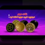 رازهای دانلود بازی تخته نرد آنلاین شرطی پولی اندروید در سایت شرط بندی: راهنمای کامل برای علاقه‌مندان ایرانی